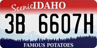 ID license plate 3B6607H