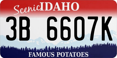 ID license plate 3B6607K