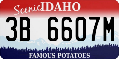 ID license plate 3B6607M