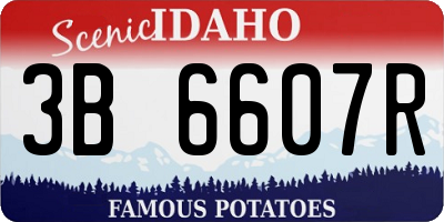ID license plate 3B6607R