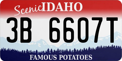 ID license plate 3B6607T