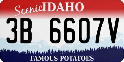 ID license plate 3B6607V