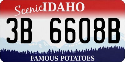 ID license plate 3B6608B