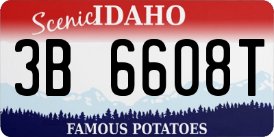 ID license plate 3B6608T