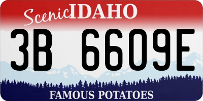 ID license plate 3B6609E