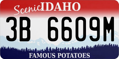 ID license plate 3B6609M
