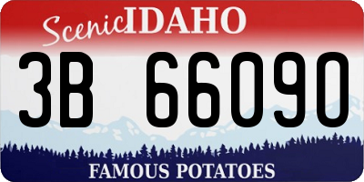 ID license plate 3B6609O