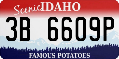 ID license plate 3B6609P