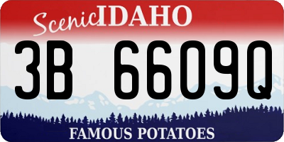 ID license plate 3B6609Q