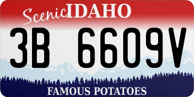 ID license plate 3B6609V