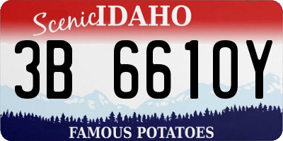 ID license plate 3B6610Y