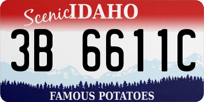 ID license plate 3B6611C