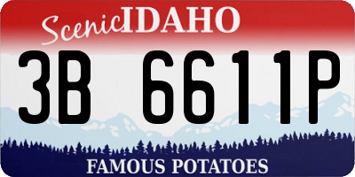 ID license plate 3B6611P