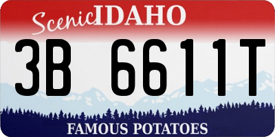 ID license plate 3B6611T