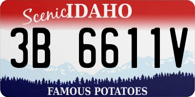 ID license plate 3B6611V