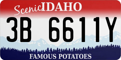 ID license plate 3B6611Y