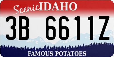 ID license plate 3B6611Z