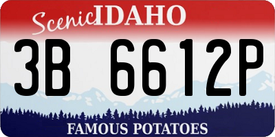 ID license plate 3B6612P