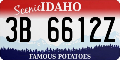 ID license plate 3B6612Z