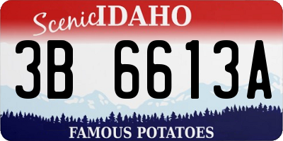 ID license plate 3B6613A