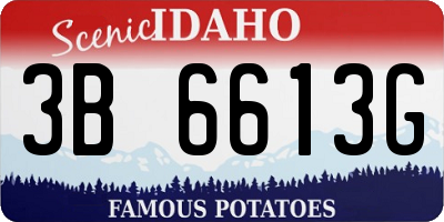 ID license plate 3B6613G