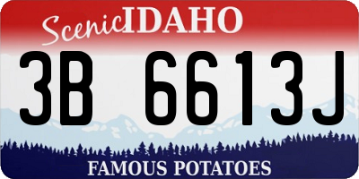 ID license plate 3B6613J