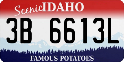 ID license plate 3B6613L
