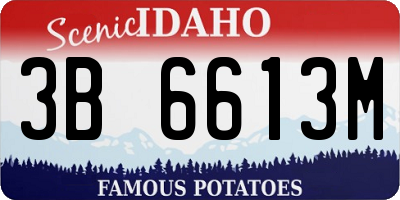 ID license plate 3B6613M