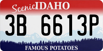 ID license plate 3B6613P