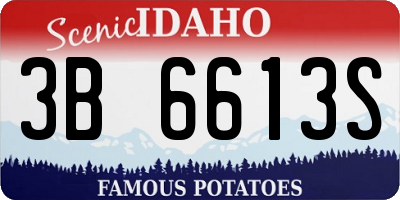 ID license plate 3B6613S
