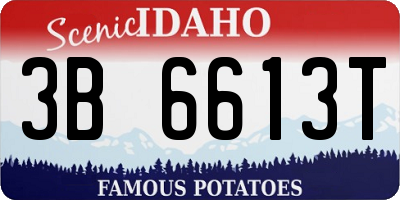 ID license plate 3B6613T