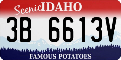 ID license plate 3B6613V