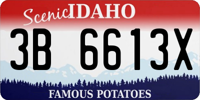 ID license plate 3B6613X