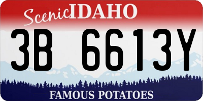 ID license plate 3B6613Y