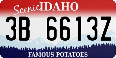 ID license plate 3B6613Z