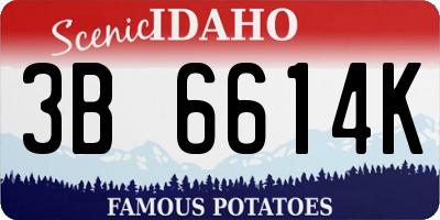 ID license plate 3B6614K