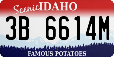 ID license plate 3B6614M