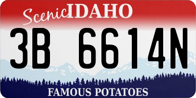 ID license plate 3B6614N