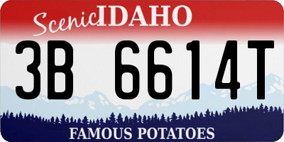 ID license plate 3B6614T