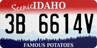 ID license plate 3B6614V