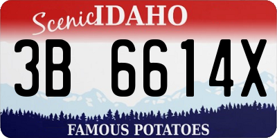 ID license plate 3B6614X