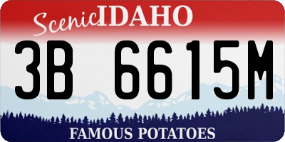 ID license plate 3B6615M