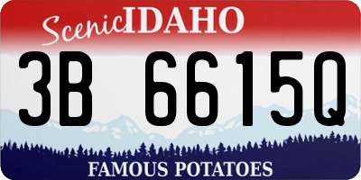 ID license plate 3B6615Q