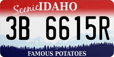 ID license plate 3B6615R