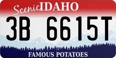 ID license plate 3B6615T