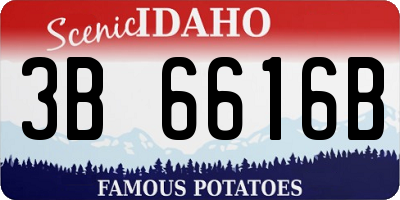 ID license plate 3B6616B