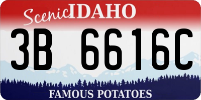 ID license plate 3B6616C