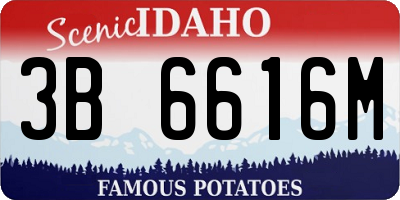 ID license plate 3B6616M