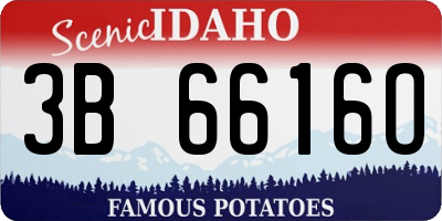ID license plate 3B6616O
