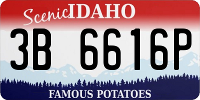 ID license plate 3B6616P